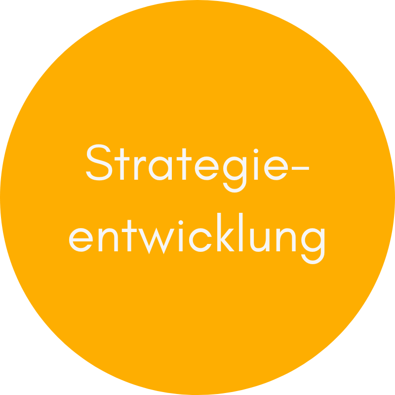 Strategieentwicklung